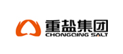 重庆市盐业（集团）有限公司案例配图
