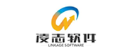 凌志软件股份有限公司案例配图
