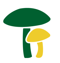 1638930769225069979.png image.png