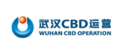 武汉中央商务区运营发展有限公司案例配图